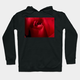 Red Rose Up Close Hoodie